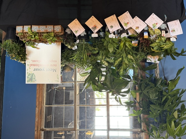 The plant prize table, stocked and waiting
